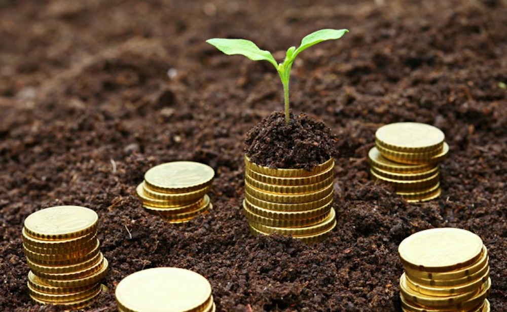 Portfolio Management